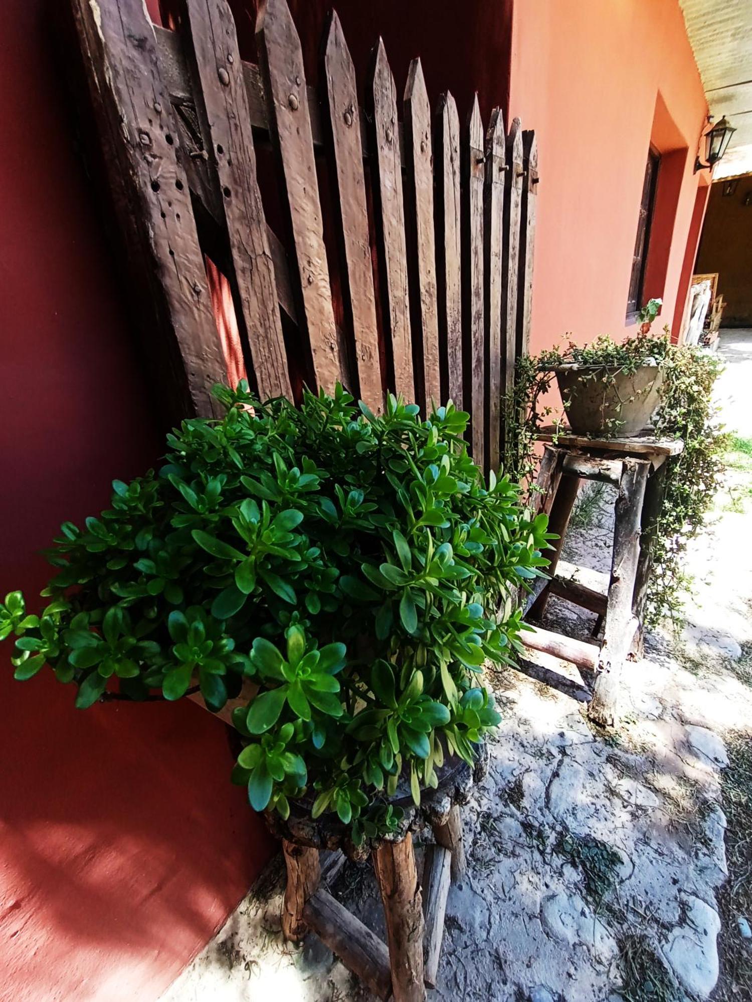 Hostal La Albahaca Tilcara Exterior foto